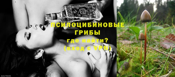 не бодяженный Алзамай